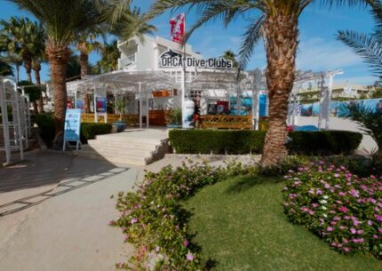EG_Orca_Dive_Club_Safaga©OrcaDiveClubs