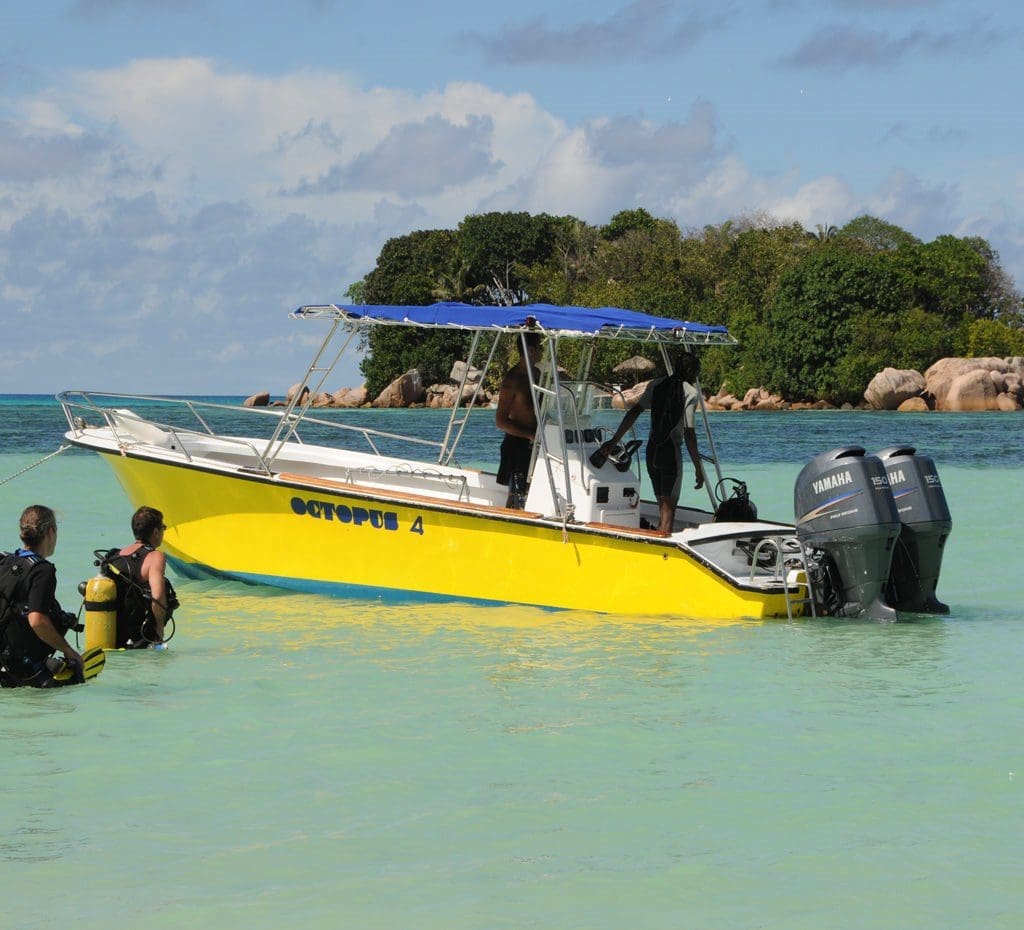 Octopus Diver Praslin Orca
