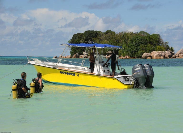 Octopus Diver Praslin Orca