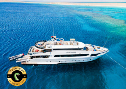 Sea Serpent Serena Dreams_©SeaSerpent