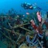 ID_Bali_Siddhartha_Dive-Center_House-Reef2-©-Siddhartha