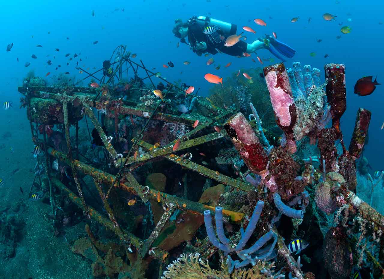 ID_Bali_Siddhartha_Dive-Center_House-Reef2-©-Siddhartha