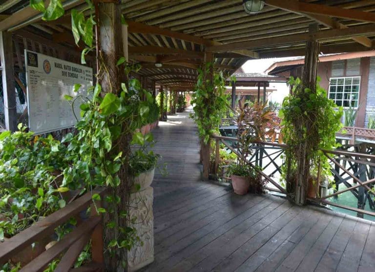 Sipadan Mabul & Water Bungalows - Mabul - Orca