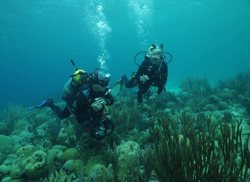 Bahia Divers