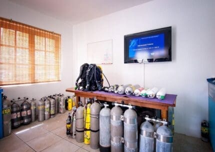 Captain Don's Dive Centre