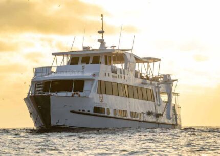 GalapagosHumboldtExplorer©HumboldtExplorer_HEX_At Sea_Sunset4