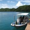 FM_Fish_n_Fins_Tauchboot_an_Steg