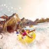 ©Hywell Waters / © Abu Dhabi Tourism & Culture