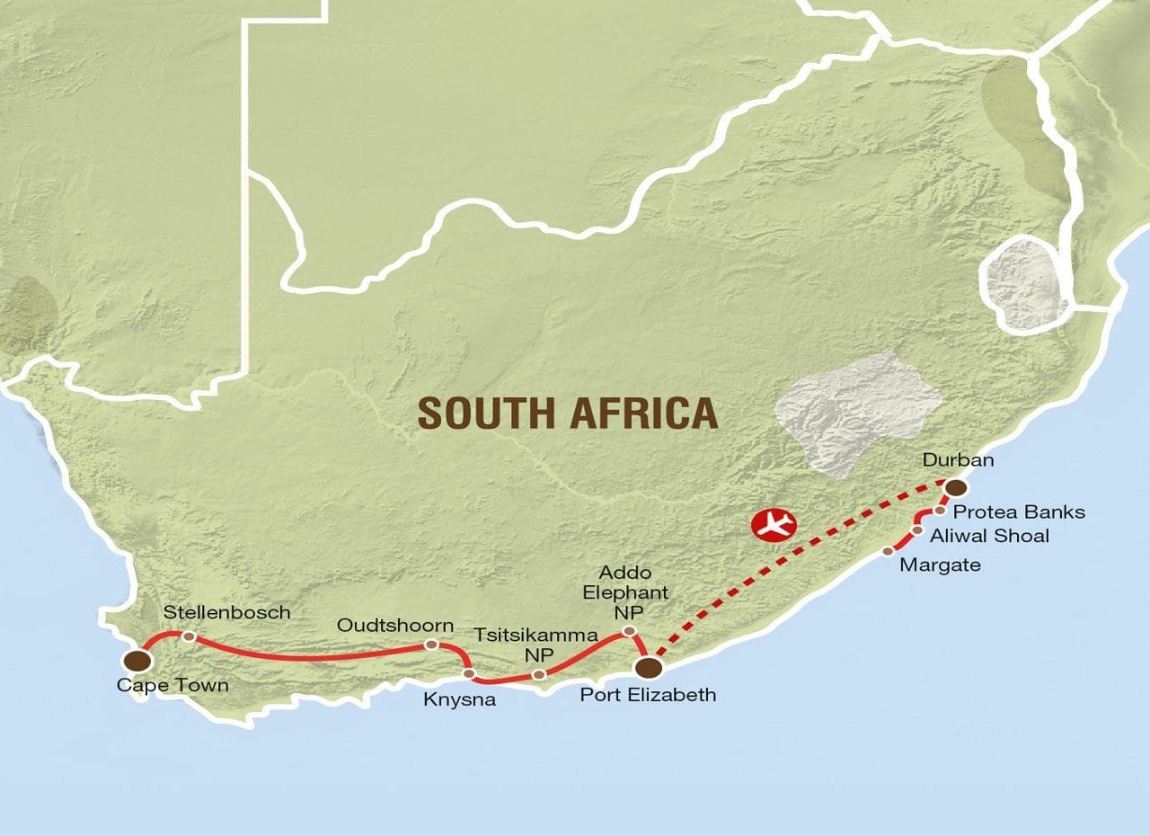 haitauchen & garden route - südafrika - orca