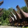 Toraja Tour