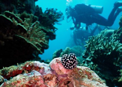 ©KawayanHolidayResort