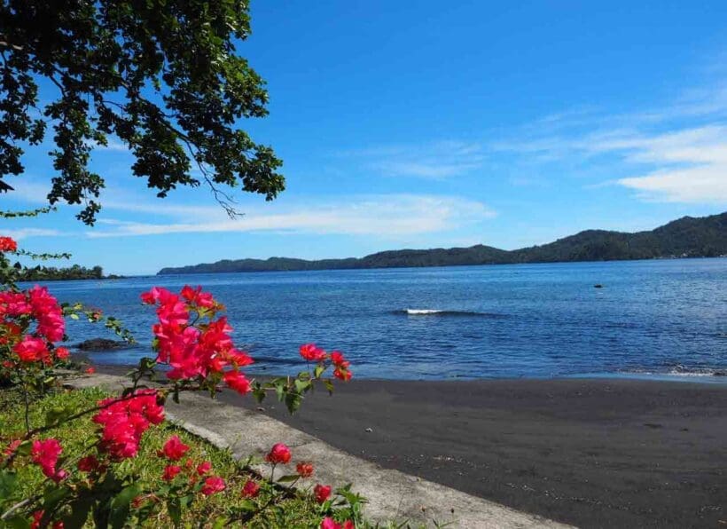 Dive Into Lembeh Strand