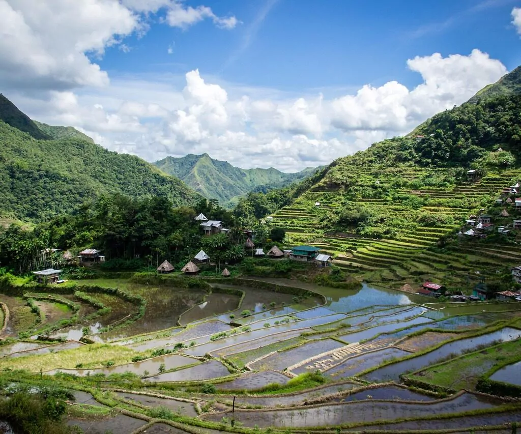 Reisterrasse, Philippinen, Reisebericht