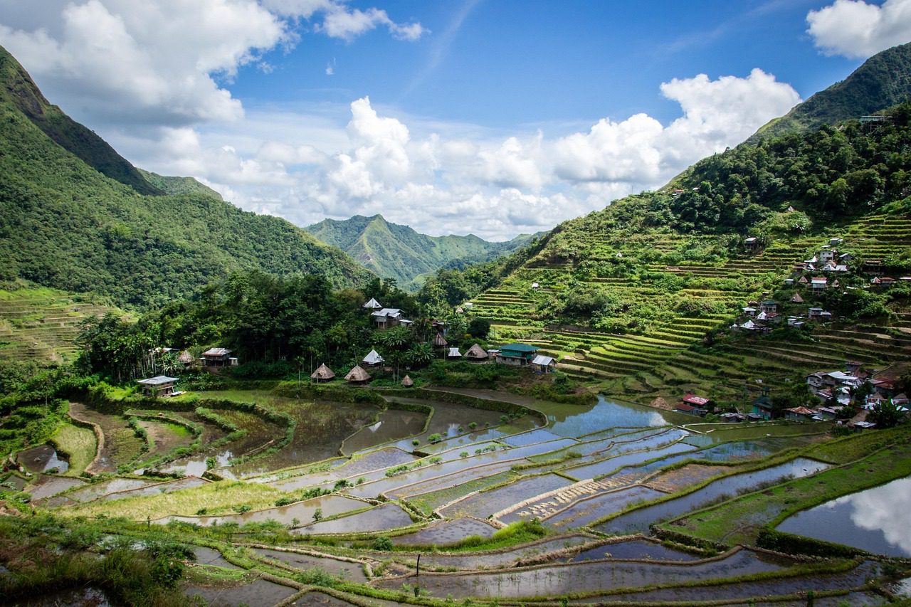 Reisterrasse, Philippinen, Reisebericht