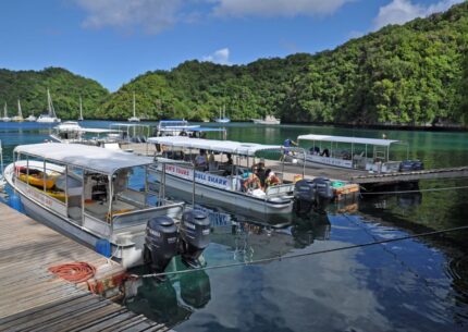 JH-DiveBase01 © Sam's Tours Judith Hoppe