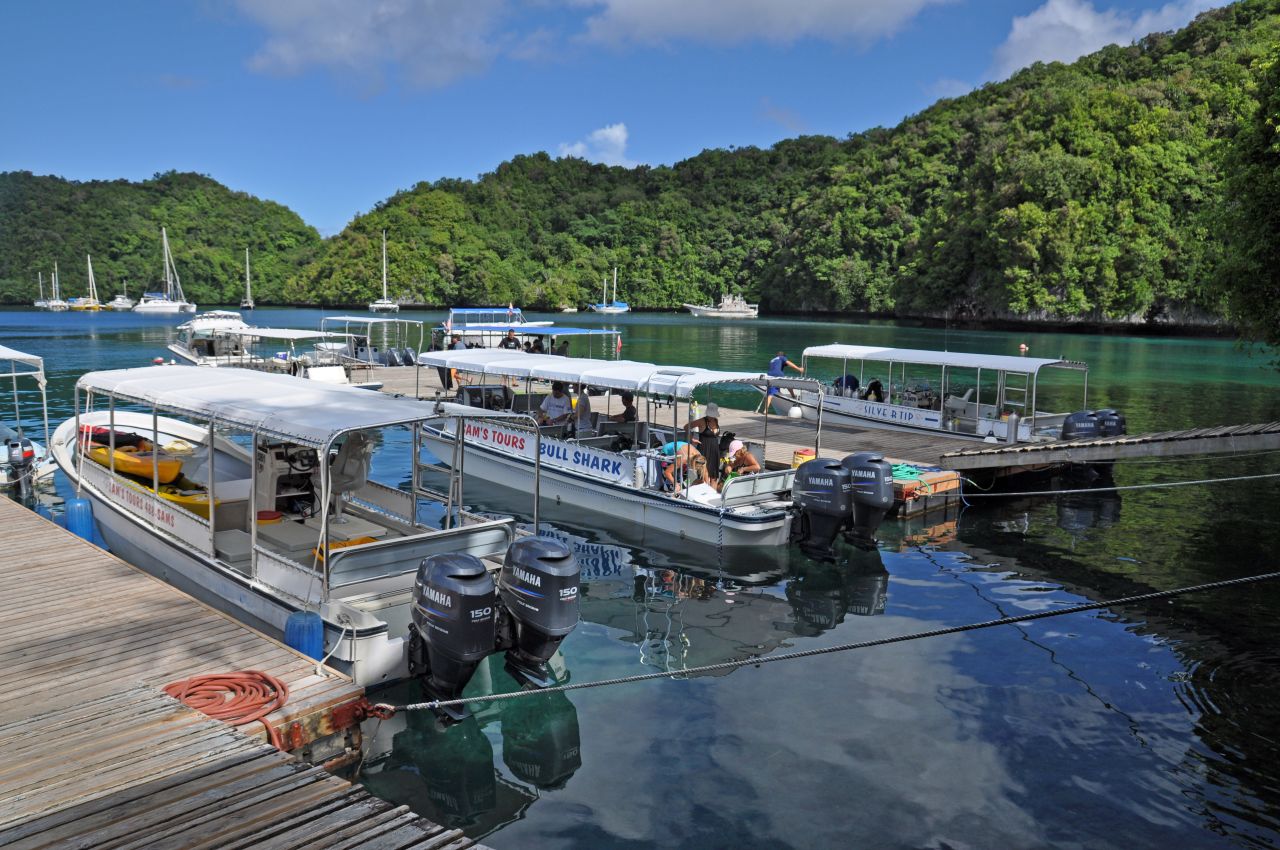 JH-DiveBase01 © Sam's Tours Judith Hoppe