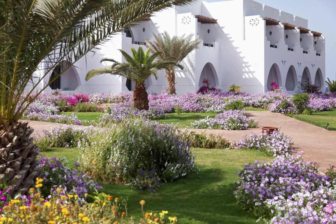 thethreecorners_redsea_marsa_alam_equinox_beach_resort_building_1-scaled©thethreecorners