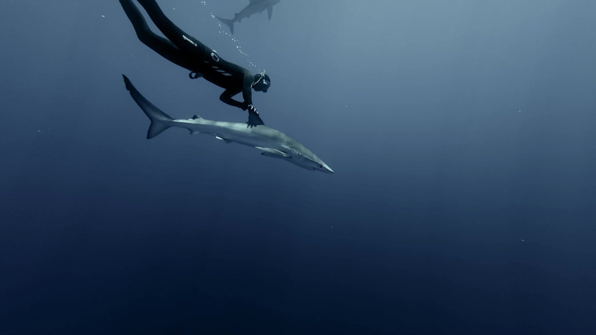 ©PicoIslandAdventures