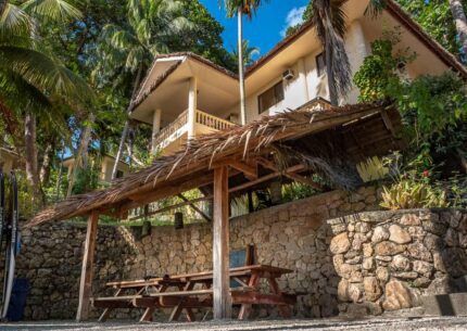 PH_Sipalay_©SipalayEasyDiving_20190208-DSCF3841