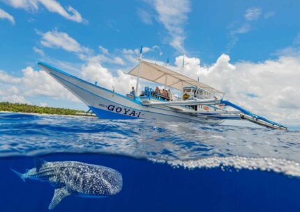 PH_EasyDiving_Cagayan_Safari_© Poelzer Wolfgang_Splithai wpo_d066472