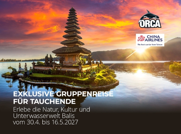 Orca Bali Gruppenreise Startseite Orca Bali Gruppenreise Startseite